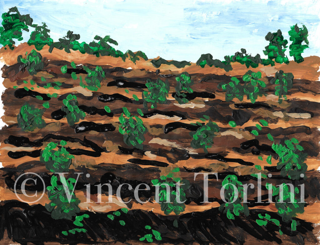 Vincent Torlini Art