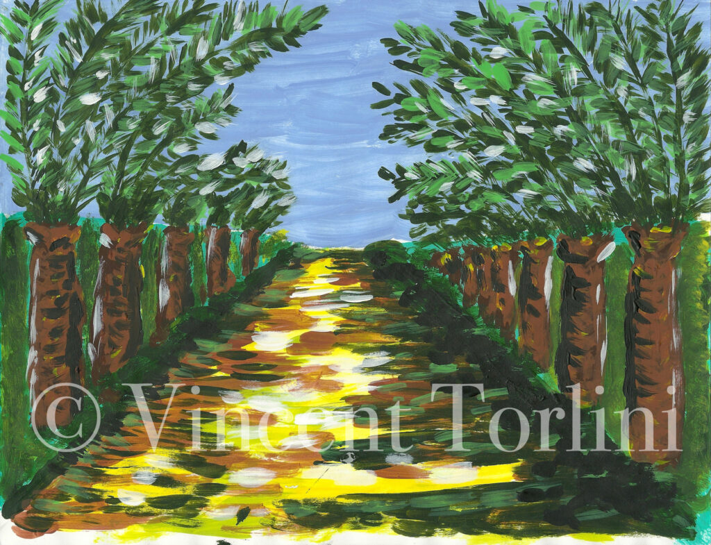 Vincent Torlini Art