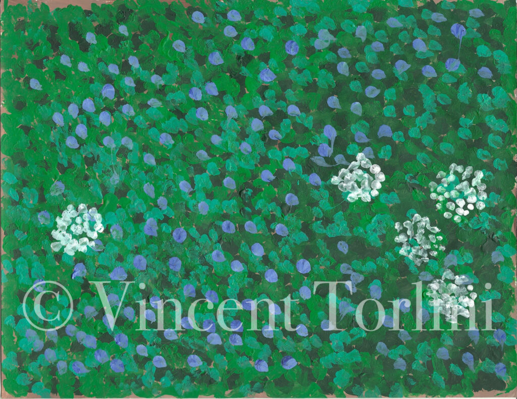Vincent Torlini Art