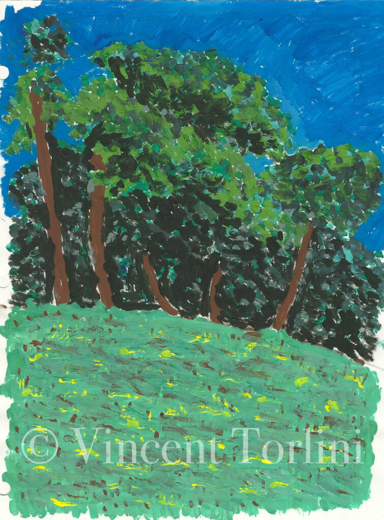 Vincent Torlini Art