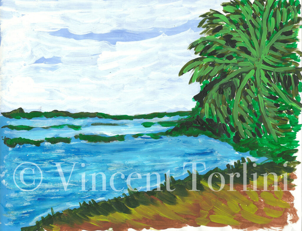 Vincent Torlini Art