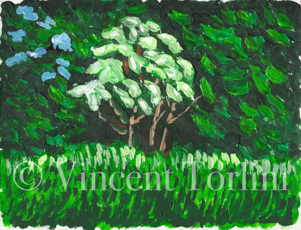 Vincent Torlini Art