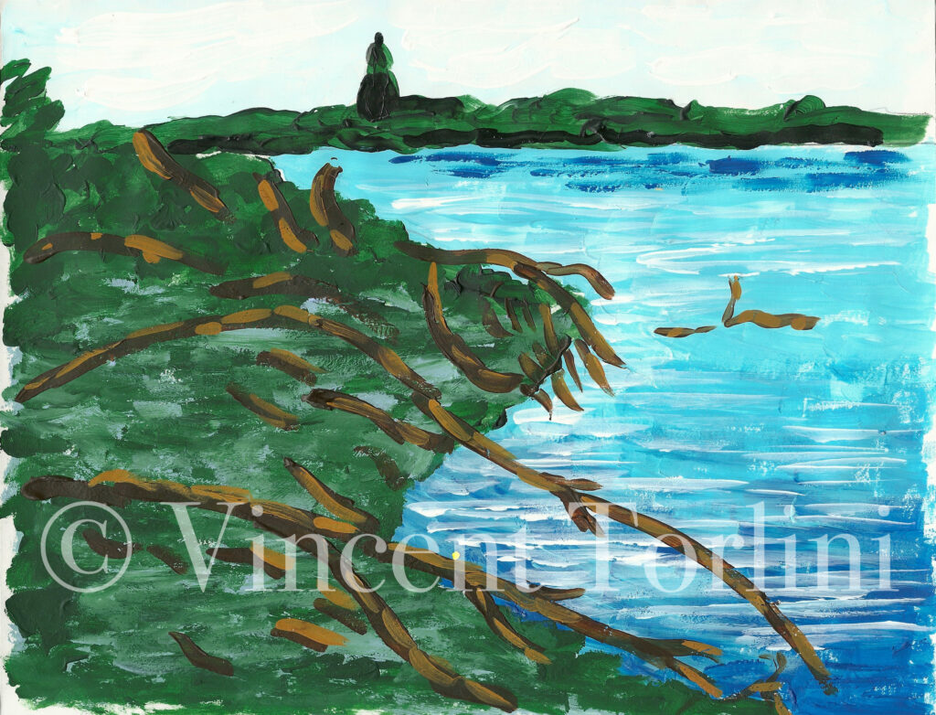 Vincent Torlini Art