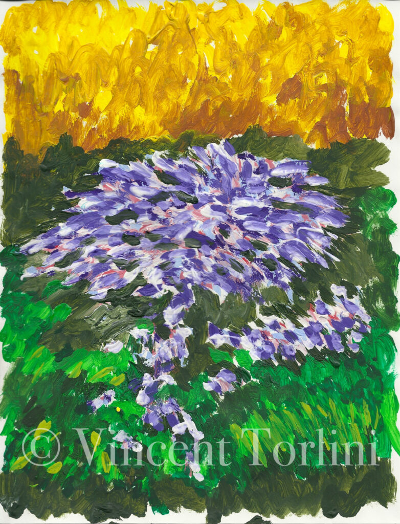 Vincent Torlini Art