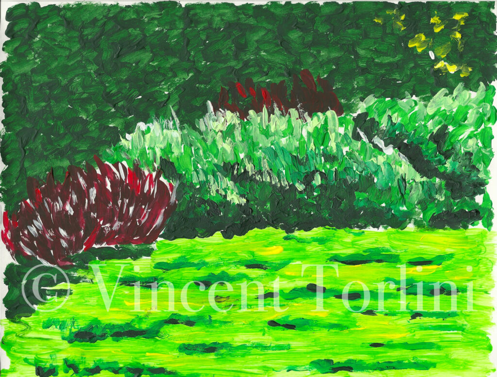 Vincent Torlini Art