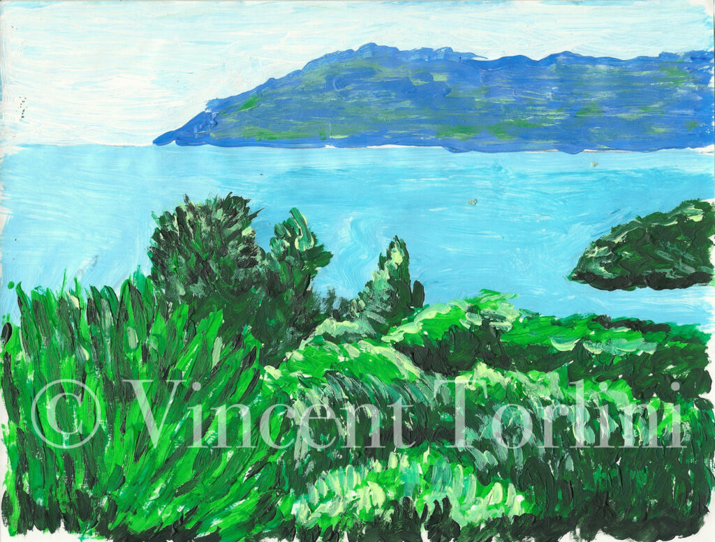 Vincent Torlini Art